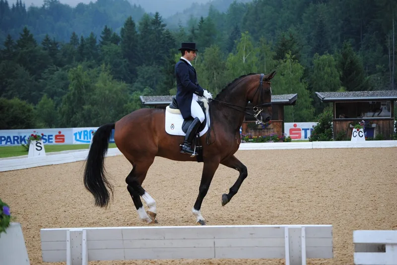 Caballo castaño en una pista de doma con carpas y montaña al fondo