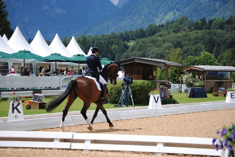Caballo castaño en una pista con carpas y montaña
