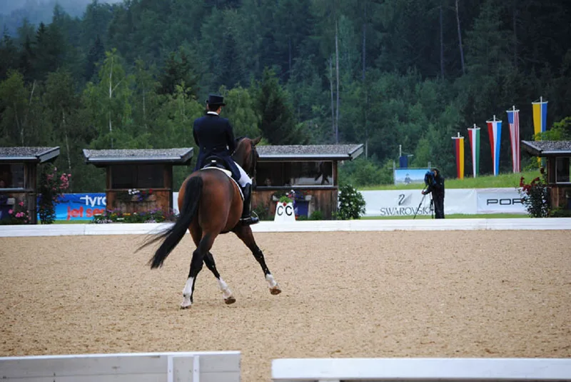Caballo gris con jinete en una pista de doma clásica