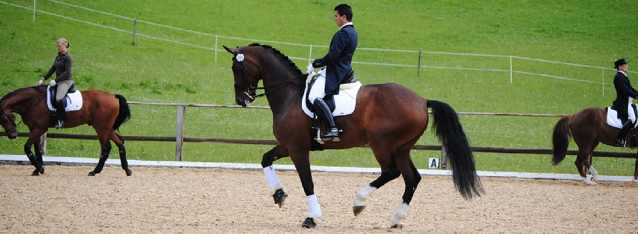 Antonio Díaz Porras montando un caballo negro en una pista de doma clásica